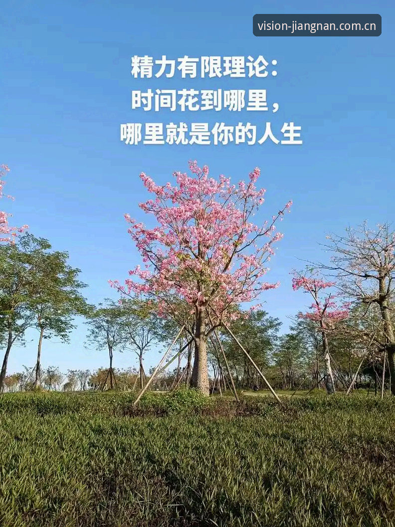 4个理由告诉你：为什么看赛程推荐要选择手机版